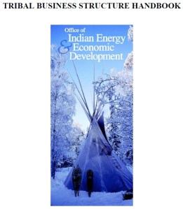 Tribal Business Structure Handbook