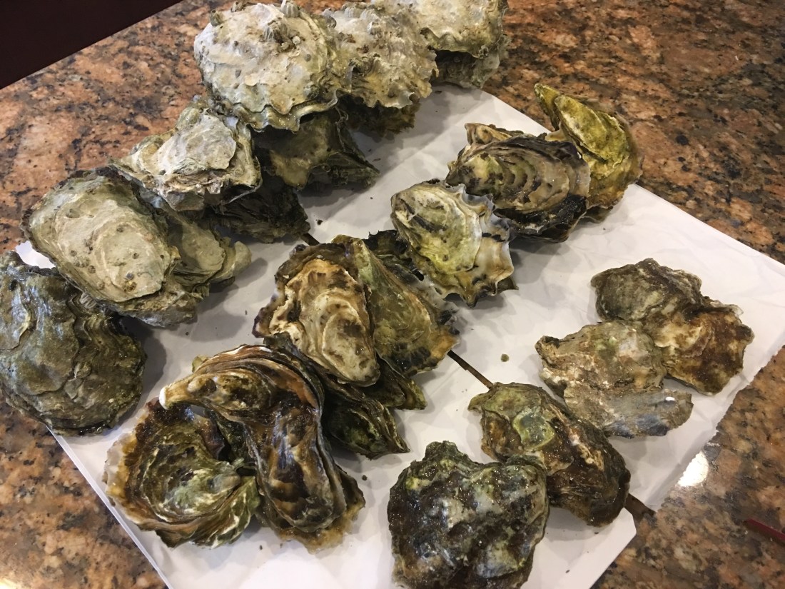 Blue Point, Netarts Bay, & Willapa Bay Oysters